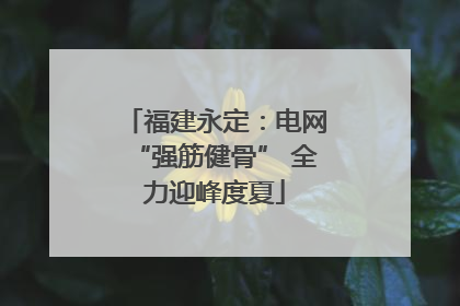 福建永定：电网“强筋健骨” 全力迎峰度夏